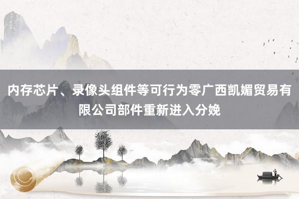 内存芯片、录像头组件等可行为零广西凯媚贸易有限公司部件重新进入分娩