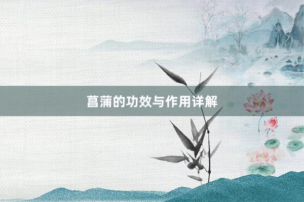 菖蒲的功效与作用详解
