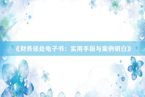 《财务惩处电子书：实用手段与案例明白》